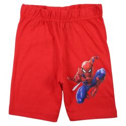 Ensemble Spiderman