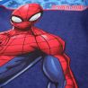 Ensemble Spiderman