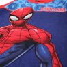 Ensemble Spiderman