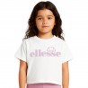 Pack de 2 T-shirts et short cycliste Ellesse