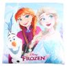 Coussin La Reine des neiges