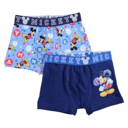 Lot de 2 boxer Mickey