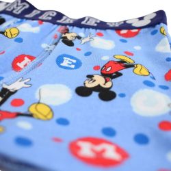 Lot de 2 boxer Mickey