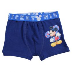 Lot de 2 boxer Mickey