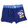 Lot de 2 boxer Mickey