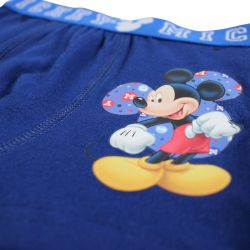 Lot de 2 boxer Mickey