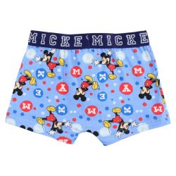 Lot de 2 boxer Mickey