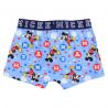 Lot de 2 boxer Mickey