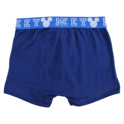 Lot de 2 boxer Mickey