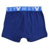 Lot de 2 boxer Mickey