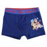 Lot de 2 boxers Paw Patrol