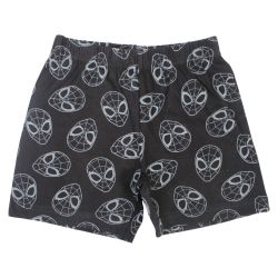 Ensemble Garçon Spiderman