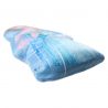 Coussin La Reine des neiges