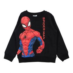 Sweat garcon Spiderman