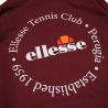 Sweat à capuche Ellesse Homme