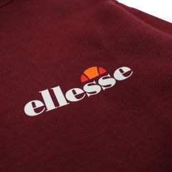 Sweat à capuche Ellesse Homme