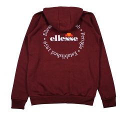 Sweat à capuche Ellesse Homme