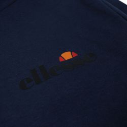 Veste à capuche Ellesse Homme