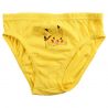 Lot de 3 slips Pokemon
