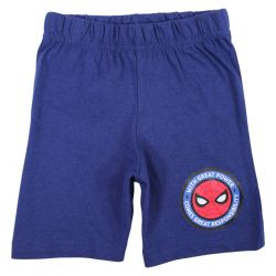 Ensemble Spiderman