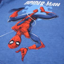 Ensemble Spiderman