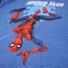 Ensemble Spiderman