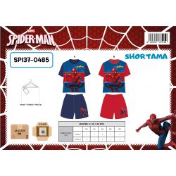Ensemble Spiderman garcon