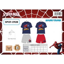 Ensemble Spiderman garcon