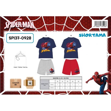 Ensemble Spiderman garcon