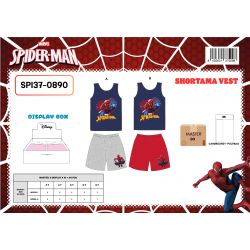 Ensemble Spiderman garcon