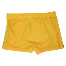 Boxer de bain Garçon Le Roi Lion