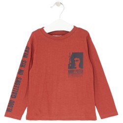 T-shirt Harry Potter