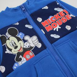 Jogging Mickey