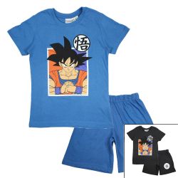 Ensemble DragonBall Z