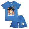 Ensemble DragonBall Z