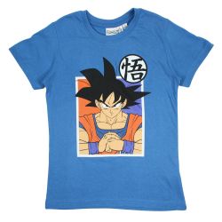 Ensemble DragonBall Z