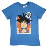 Ensemble DragonBall Z