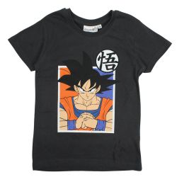 Ensemble DragonBall Z