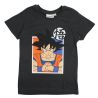 Ensemble DragonBall Z
