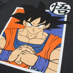 Ensemble DragonBall Z