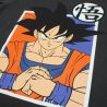 Ensemble DragonBall Z