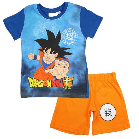 Ensemble DragonBall Z