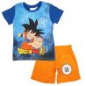 Ensemble DragonBall Z