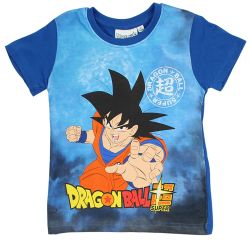 Ensemble DragonBall Z