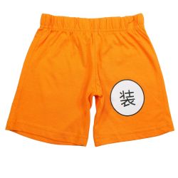 Ensemble DragonBall Z