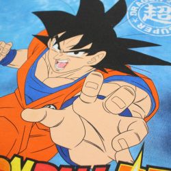 Ensemble DragonBall Z