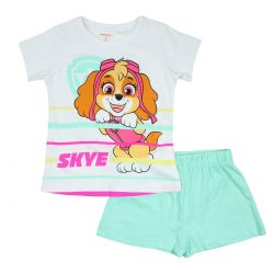 Ensemble Paw Patrol