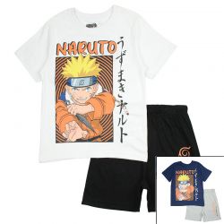 Ensemble Naruto