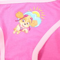 Lot de 3 slips paw patrol.