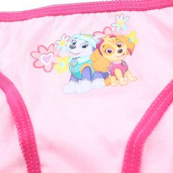Lot de 3 slips paw patrol.